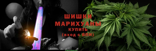 стаф Кулебаки