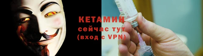 стаф Кулебаки