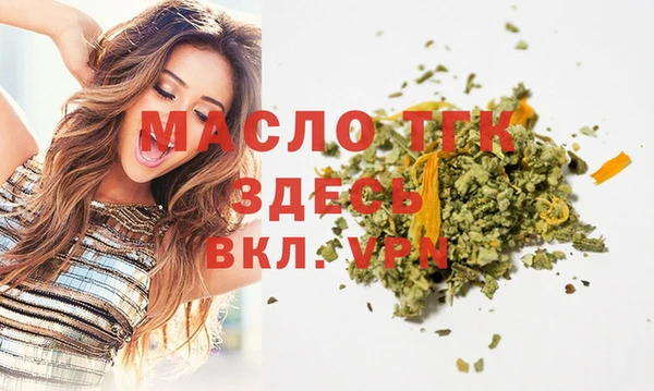 стаф Кулебаки