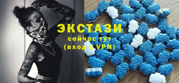 стаф Кулебаки
