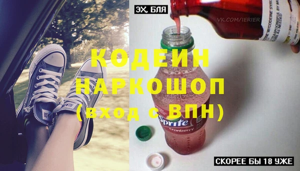 стаф Кулебаки