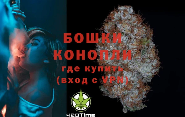стаф Кулебаки