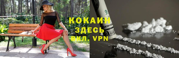 стаф Кулебаки