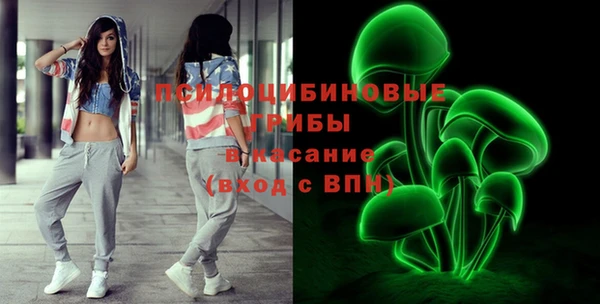 стаф Кулебаки