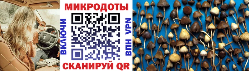 наркошоп Темников Псилоцибиновые грибы Cubensis